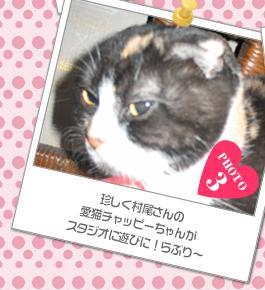 珍しく村尾さんの愛猫チャッピーちゃんがスタジオに遊びに!らぶり～