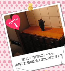 モダンな雰囲気のトイレ。昭和の古き良き時代を思い起こす!?