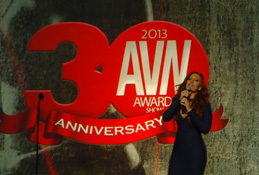 2013年のAVNaward