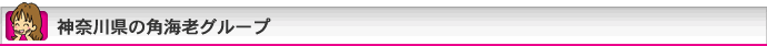 神奈川県の角海老グループ