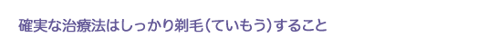 確実な治療法はしっかり剃毛（ていもう）すること