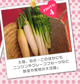 大根、ねぎ…このほかにも<br />ニンジンやグレープフルーツなど<br />野菜や果物が大活躍。