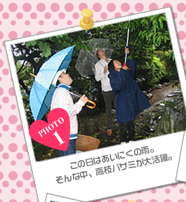 この日はあいにくの雨。<br />そんな中、高枝バサミが大活躍。