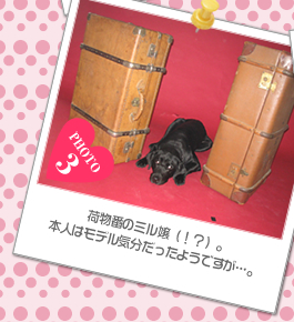 荷物番のミル嬢（!?）。本人はモデル気分だったようですが…。