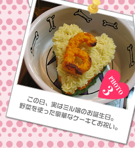 この日、実はミル嬢のお誕生日。野菜を使った豪華なケーキでお祝い。