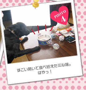 すごい勢いで食べ終えたミル嬢。はやっ!