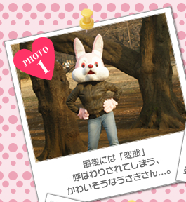 最後には「変態」呼ばわりされてしまう、かわいそうなうさぎさんノ。