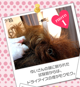 ゆいさんの頭に飾られた試験管からは、ドライアイスの煙がモクモク。