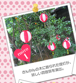 きんかんの木に飾られた提灯が、妖しい雰囲気を演出。