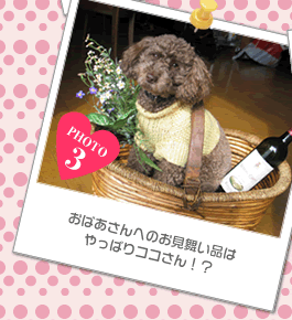 荷物番のミル嬢（!?）。本人はモデル気分だったようですが…。
