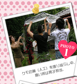 クモの巣（人工）を張り巡らし中。高い所は男子担当。