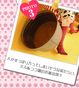 人がすっぽり入ってしまいそうな金だらい。ミル&ココ嬢のお風呂用?