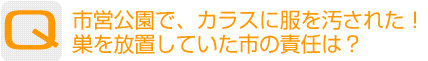 Question：市営公園で、カラスに服を汚された!巣を放置していた市の責任は？