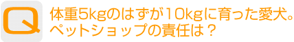 Question：体重5kgのはずが10kgに育った愛犬。ペットショップの責任は?