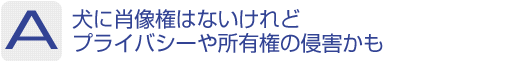 Answer：犬に肖像権はないけれどプライバシーや所有権の侵害かも