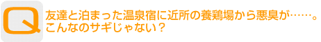 Question：友達と泊まった温泉宿に近所の養鶏場から悪臭が……。こんなのサギじゃない？