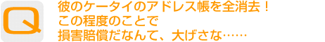 Question：彼のケータイのアドレス帳を全消去！この程度のことで損害賠償だなんて、大げさな……