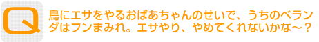 Question：鳥にエサをやるおばあちゃんのせいで、うちのベランダはフンまみれ。エサやり、やめてくれないかな～？