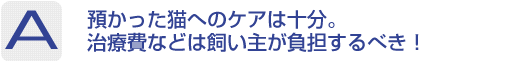 Answer：預かった猫へのケアは十分。治療費などは飼い主が負担するべき！