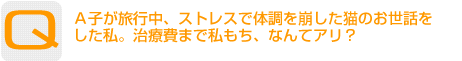 Question：Ａ子が旅行中、ストレスで体調を崩した猫のお世話をした私。治療費まで私もち、なんてアリ？