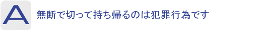 Answer：無断で切って持ち帰るのは犯罪行為です