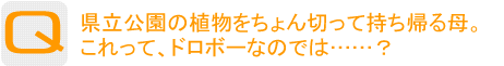 Question：県立公園の植物をちょん切って持ち帰る母。これって、ドロボーなのでは……？