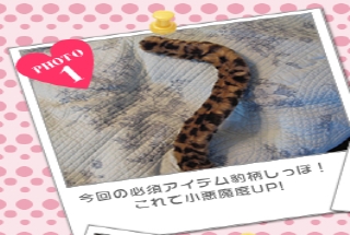 今回の必須アイテム豹柄しっぽ!<br />これで小悪魔度UP！
