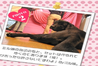 ミル嬢の指示のもと、セットは作られて<br />ゆくのであります（嘘）。<br />「サボったら許さないですわよ」Byミル嬢。
