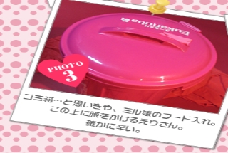ゴミ箱…と思いきや、ミル嬢のフード入れ。<br />この上に腰をかけるえりさん。<br />確かに辛い。