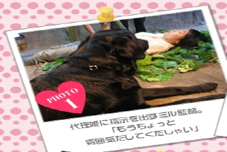 代理姫に指示を出すミル監督。<br />「もうちょっと<br />雰囲気だしてくだしゃい」