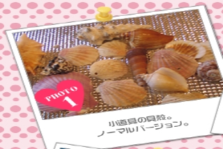 小道具の貝殻。<br />ノーマルバージョン。