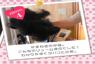 たまねぎの中身。こんなボリューム満点でした！わかりやすくタバコと比較。