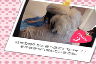 羽根の帽子が天使っぽくてカワイイ!そのまま空へ飛んでいきそう。