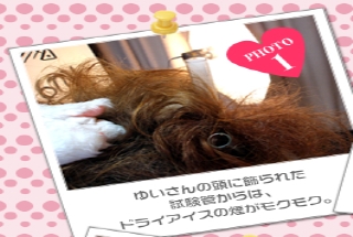ゆいさんの頭に飾られた試験管からは、ドライアイスの煙がモクモク。