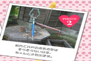 都内で井戸のあるお家はそうそうないはず。ちゃんと水も出ます。