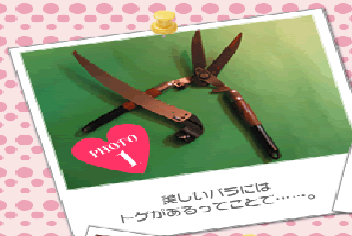 美しいバラにはトゲがあるってことで……。