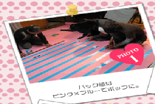 バック紙はピンク×ブルーでポップに。