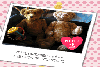 中にいるのは赤ちゃん…ではなくテディベアでした
