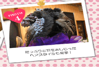 たっぷりと羽をあしらったヘアスタイルも見事！