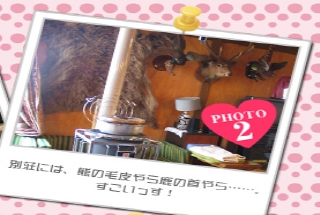 別荘には、熊野毛皮やらしかの首やら・・・。すごいっす！