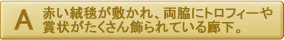 赤い絨毯が敷かれ、両脇にトロフィーや賞状がたくさん飾られている廊下