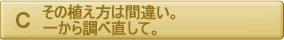 その植え方は間違い。一から調べ直して。