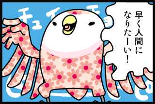 質問画像