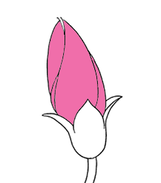レッド