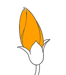 レッド
