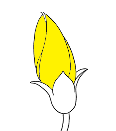 レッド