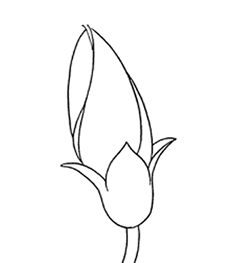 レッド