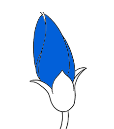 レッド