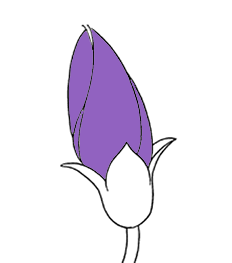 レッド