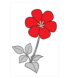 レッド